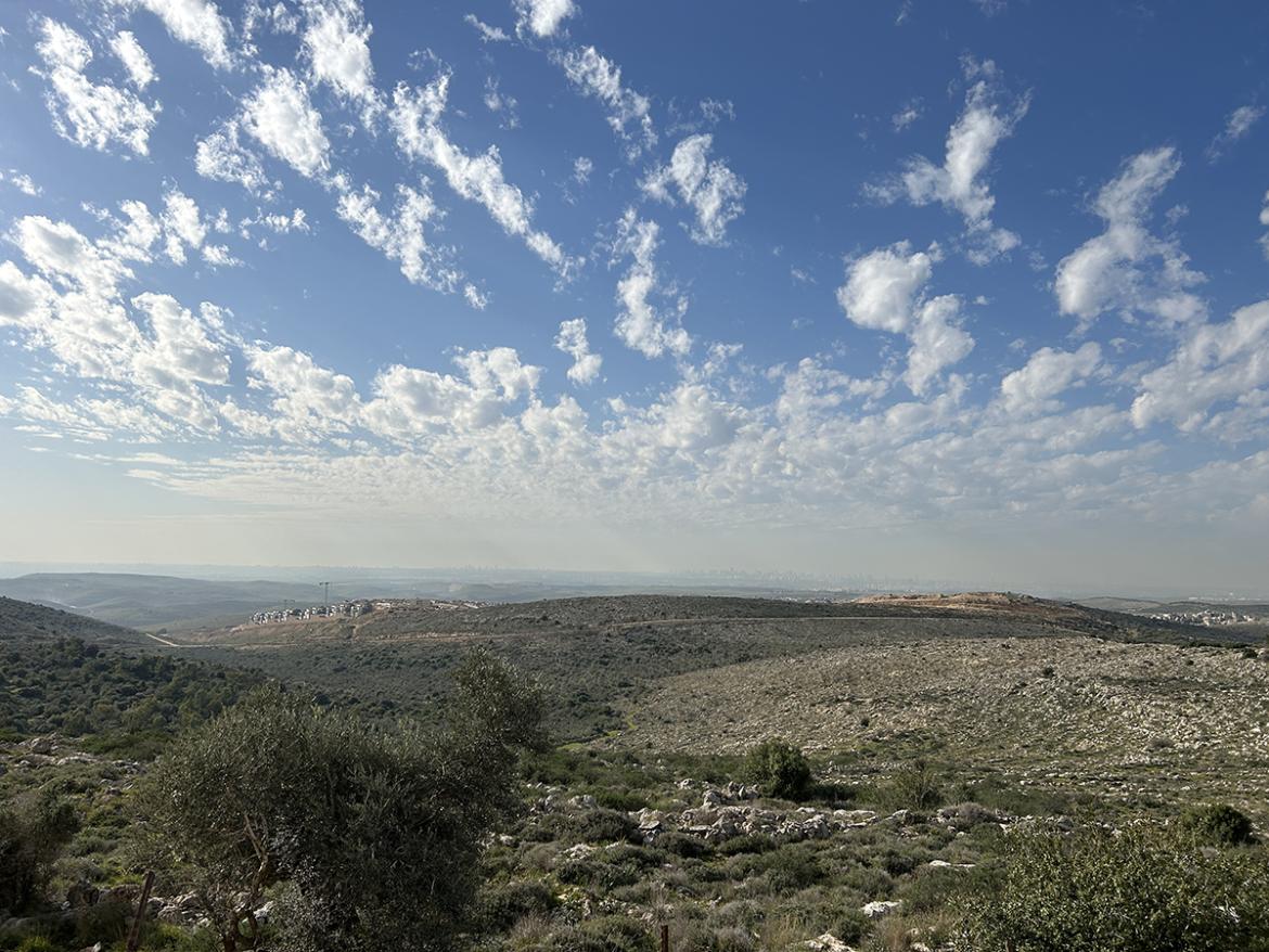 Israel-Palestine Vista