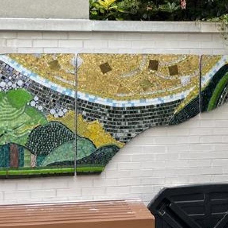 Unveiling of Urban Forest Mosaic
