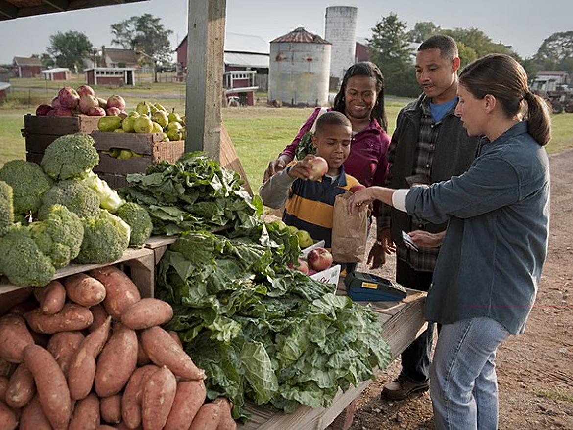 A child adding an onion to a bag at a farm stand with his family behind him